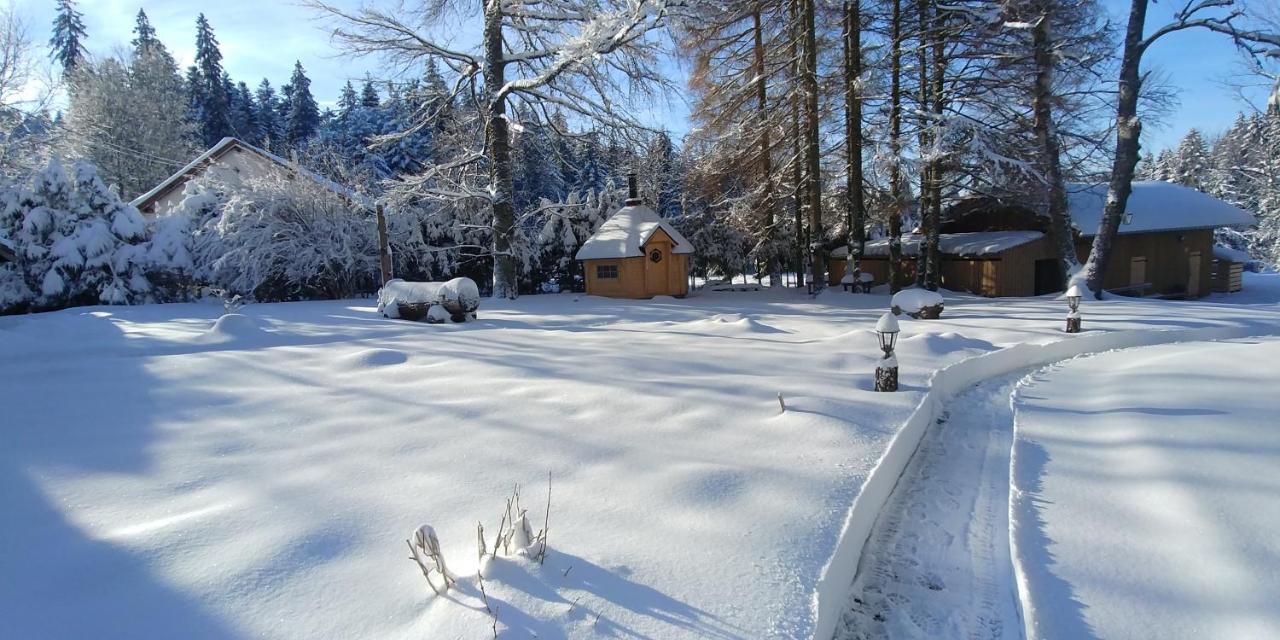 Chalet De Martimprey - Chalets - Gites - Chambres D' Hotes Et Spas Жерарме Екстер'єр фото