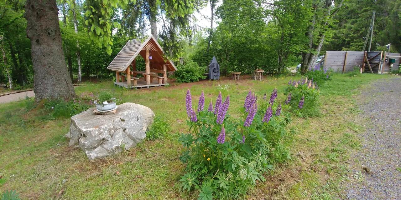 Chalet De Martimprey - Chalets - Gites - Chambres D' Hotes Et Spas Жерарме Екстер'єр фото