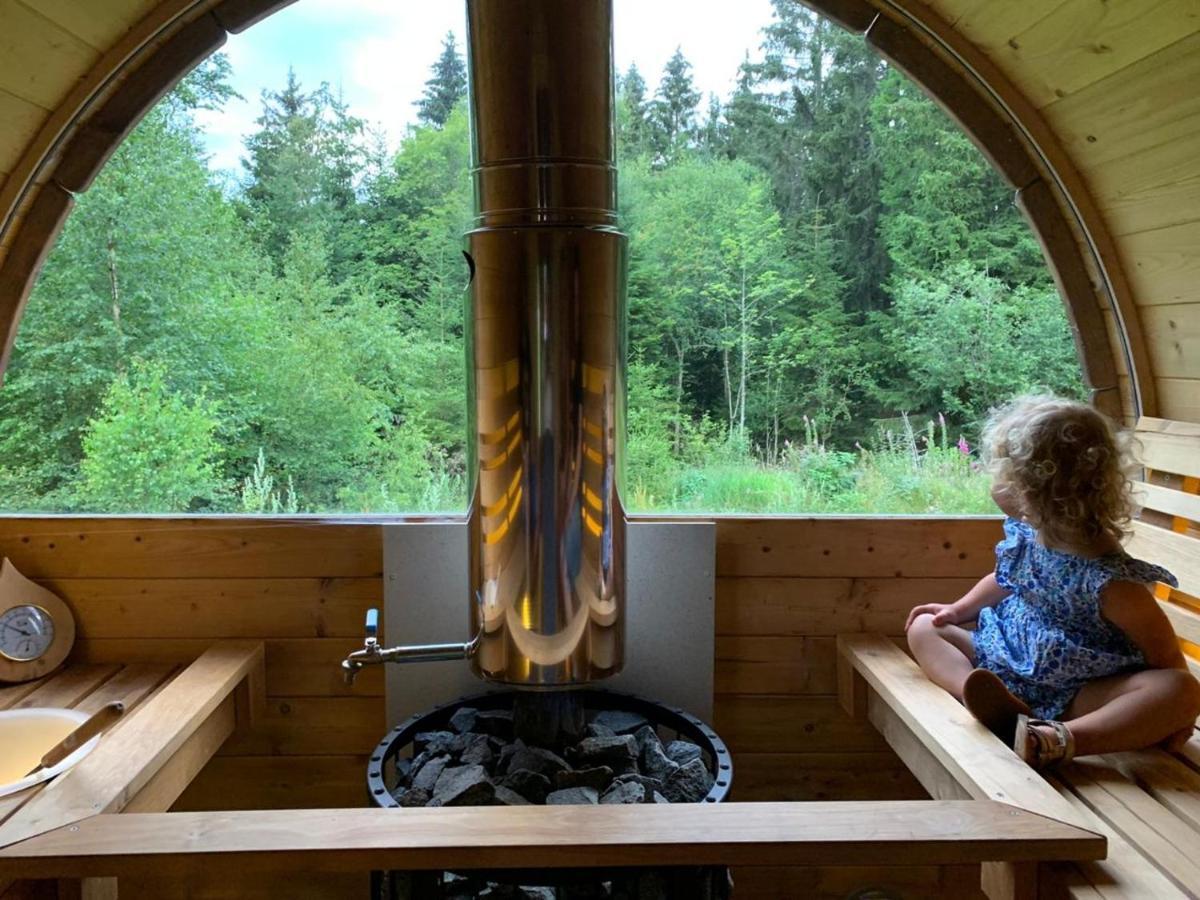 Chalet De Martimprey - Chalets - Gites - Chambres D' Hotes Et Spas Жерарме Екстер'єр фото